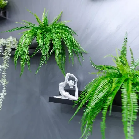 Tomin Adults Only Sokobanja