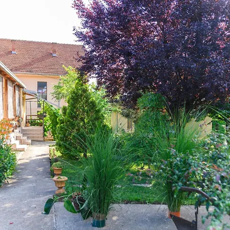 Tomin Adults Only * Sokobanja