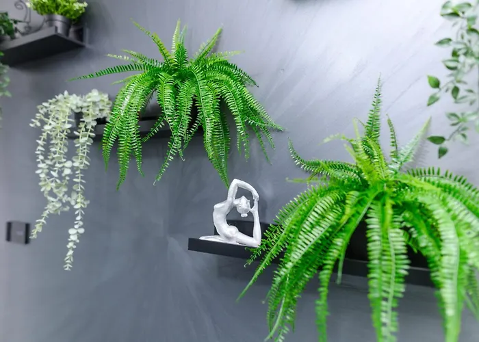 Tomin Adults Only Soko Banja