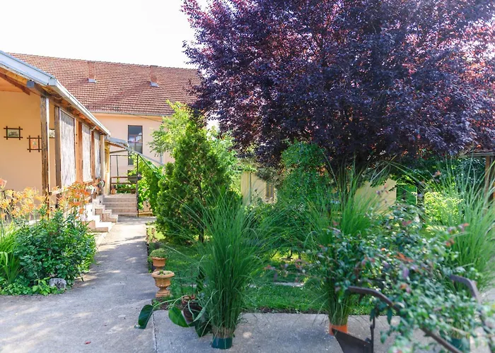 Tomin Adults Only * Soko Banja