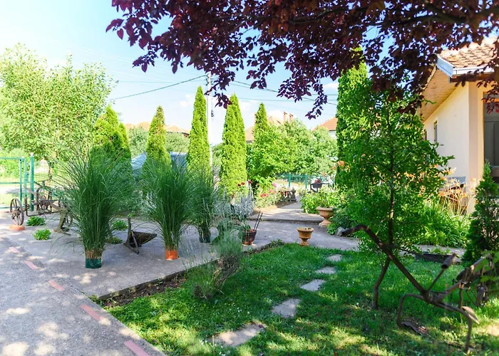 Tomin Adults Only Soko Banja